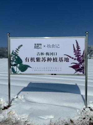 功能医学智慧新篇章 全食物日记当选理事单位，以精准营养赋能行业健康未来